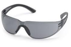 Style Goggles (Dark Lens)